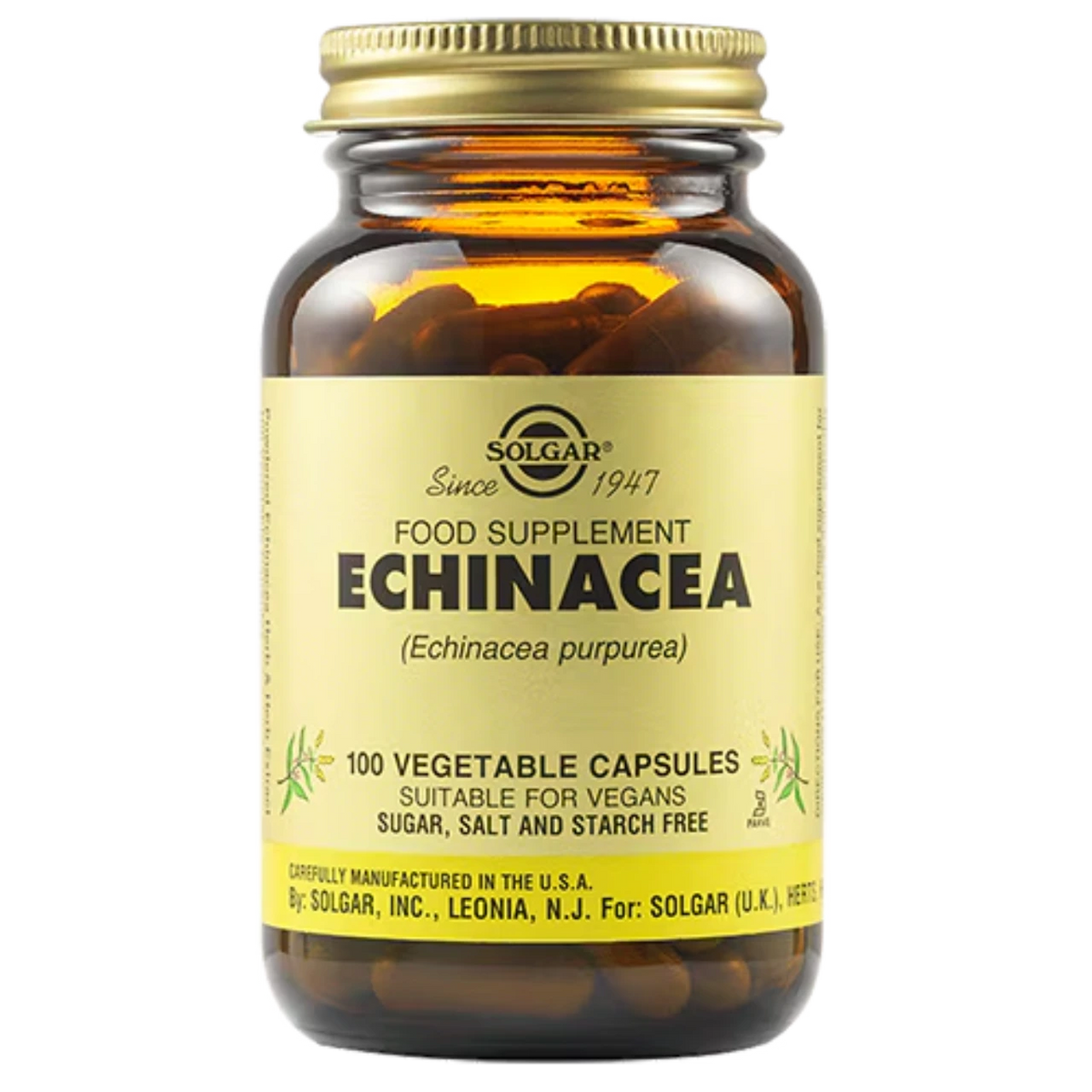 Solgar Echinacea - Premium herbal extract for immune system support and respiratory health.
