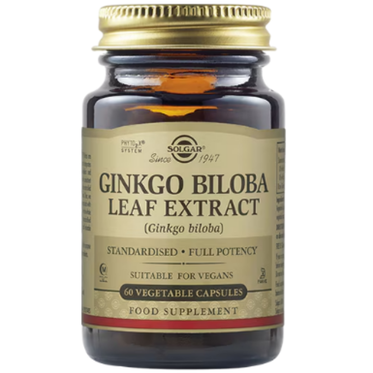 Solgar Ginkgo Biloba Leaf Extract - 60 capsules