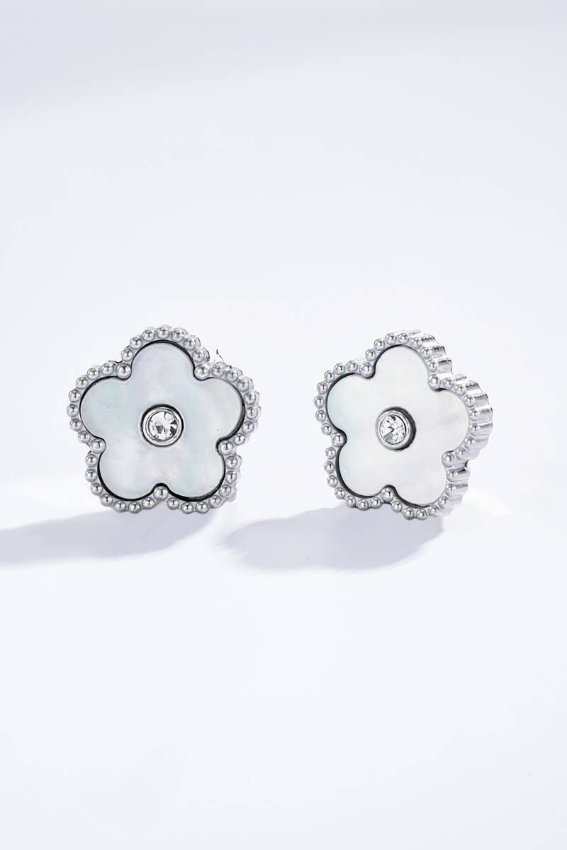 Stainless steel earrings: Silver