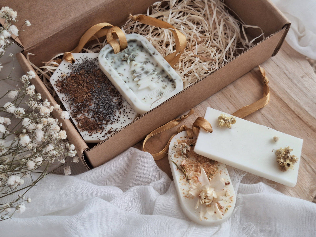 Solid air freshener pack - Wax Bars - The Seasons - 4PCS: English
