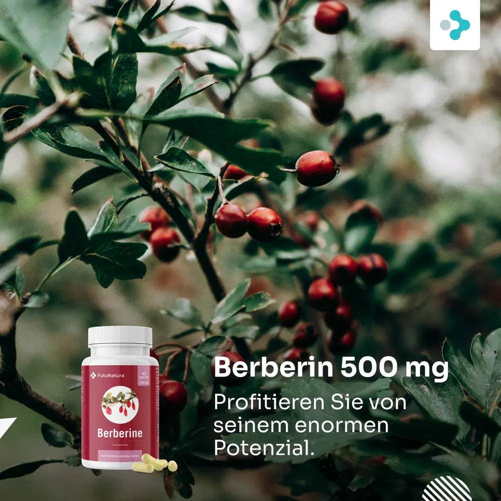 FutuNatura | Berberine 500 mg for blood sugar control - 90 capsules