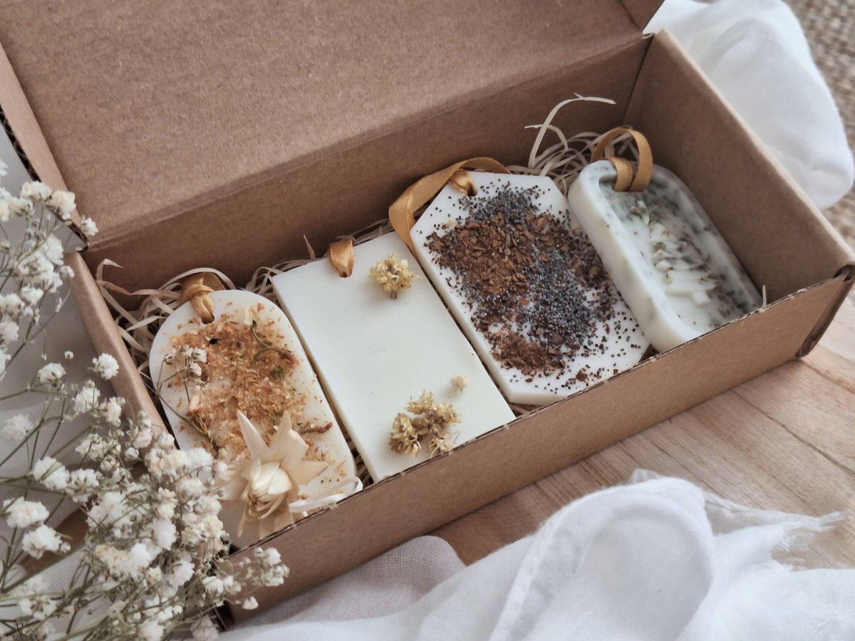Solid air freshener pack - Wax Bars - The Seasons - 4PCS: English